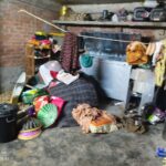 IMG-20260520-WA0003